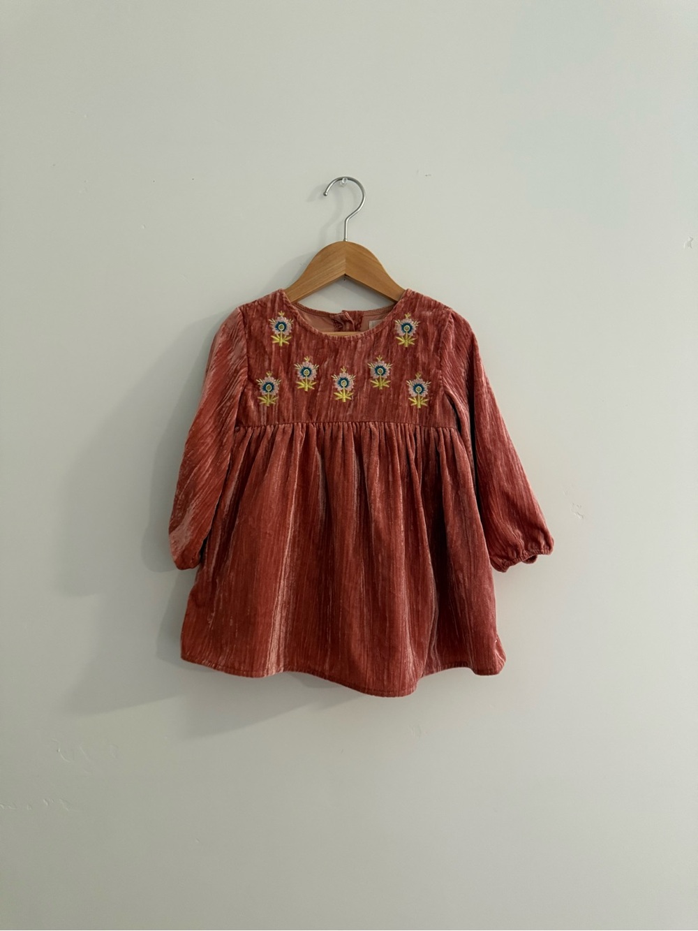 Louise Misha Velour Embroidered Dress